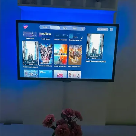 Near Vienna Airport Schwechat